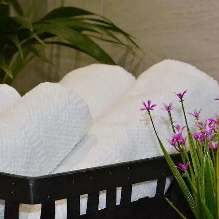 Сasa de vacaciones Tropicales